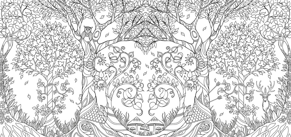 Desenhos para Colorir além do Jardim Secreto  Desenhos para colorir adultos,  Mandala para impressão, Desenhos para colorir